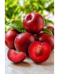 Слива домашня Ред Хард|Prunus domestica Red Heart|Слива домашняя Ред Хард